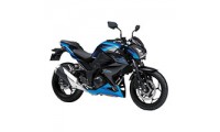 Kawasaki Z250/Z300 Fairings Australia