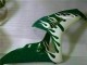 2006-2007 Honda CBR1000RR Motorcycle Fairings - White Green Flame Australia