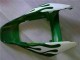 2006-2007 Honda CBR1000RR Motorcycle Fairings - White Green Flame Australia