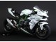2015-2022 Kawasaki Ninja H2 Motorcycle Fairings - White Silver Green Australia