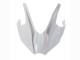 2015-2022 Kawasaki Ninja H2 Motorcycle Fairings - White Silver Green Australia
