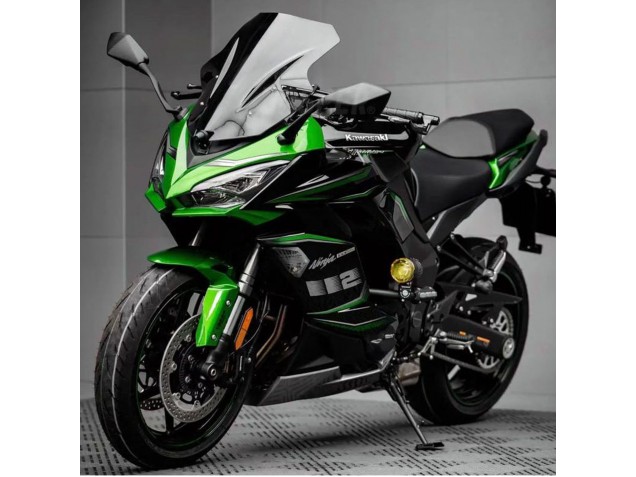 2020-2025 Kawasaki Z1000SX Motorcycle Fairing - Black Green Ninja Australia