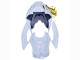 2019-2022 BMW S1000RR Motorcycle Fairings - White Gold Australia