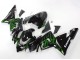 2004-2005 Kawasaki ZX10R Motorcycle Fairings - Black with Green Flame Ninja Australia