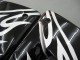 2004-2005 Kawasaki ZX10R Motorcycle Fairings - Black White Australia