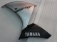 2009-2011 Yamaha YZF 1000 R1 Motorcycle Fairing - Silver Black Australia