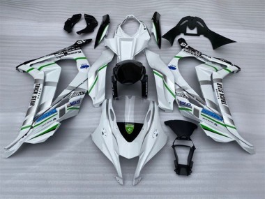 2016-2020 Kawasaki ZX10R Motorcycle Fairings - White Silver Green Blue Black Trick Star Australia