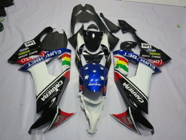 2008-2010 Carrera Kawasaki ZX10R Motorcycle Fairing
